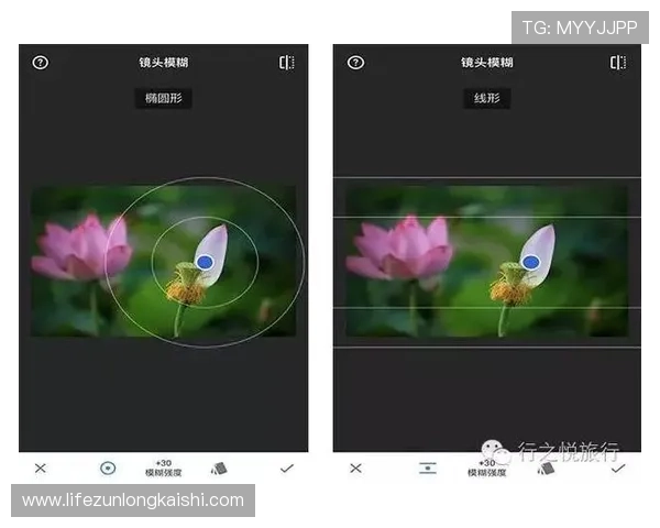 尊龙人生就是app下载安装教程及常见问题解决方案详解
