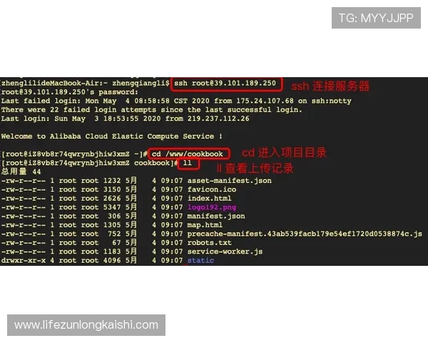 尊龙游戏官方网站多样化的充值方式与快速提现流程详解