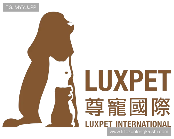 尊龙平台·官网展示丰富的赛事活动与奖励机制，激发玩家的参与热情